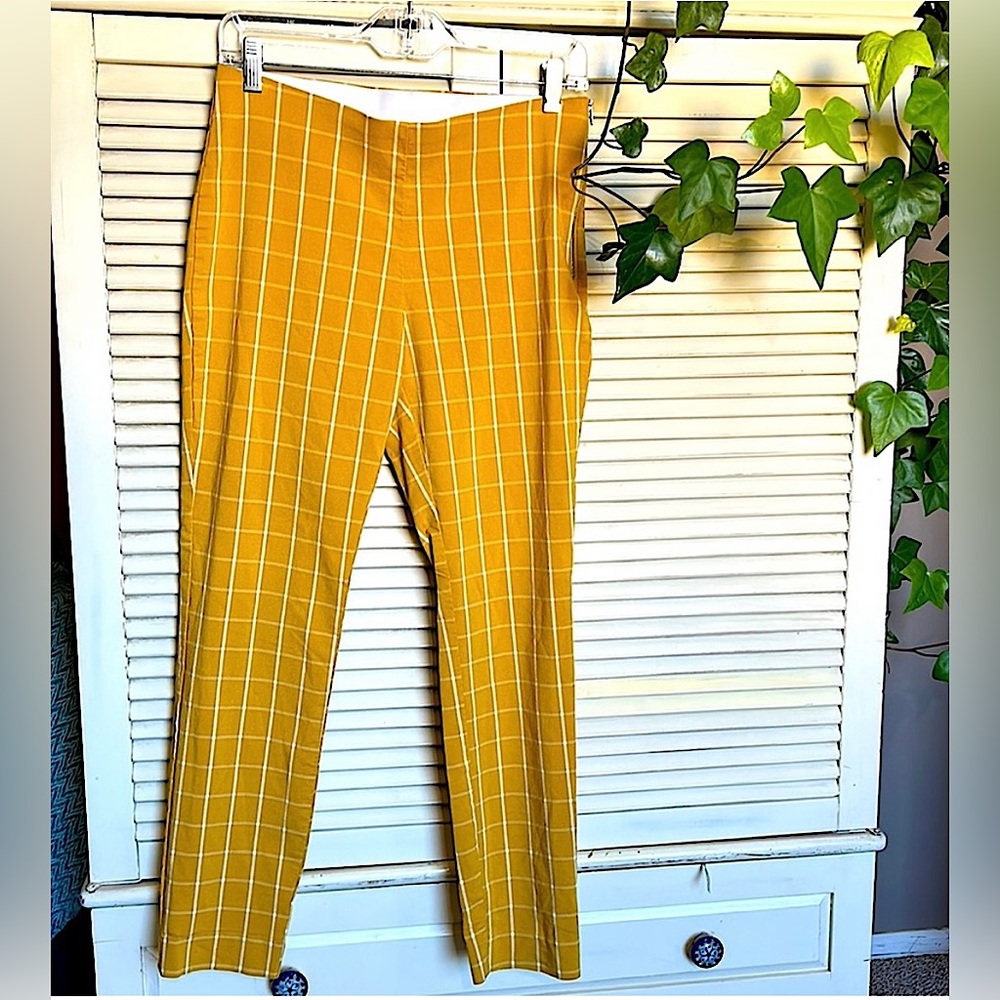 A NEW DAY Trouser